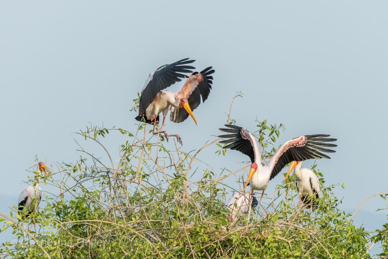 Lake Natron Maasai Giraffe Eco Lodge And Camping Mtowabaga Exterior photo