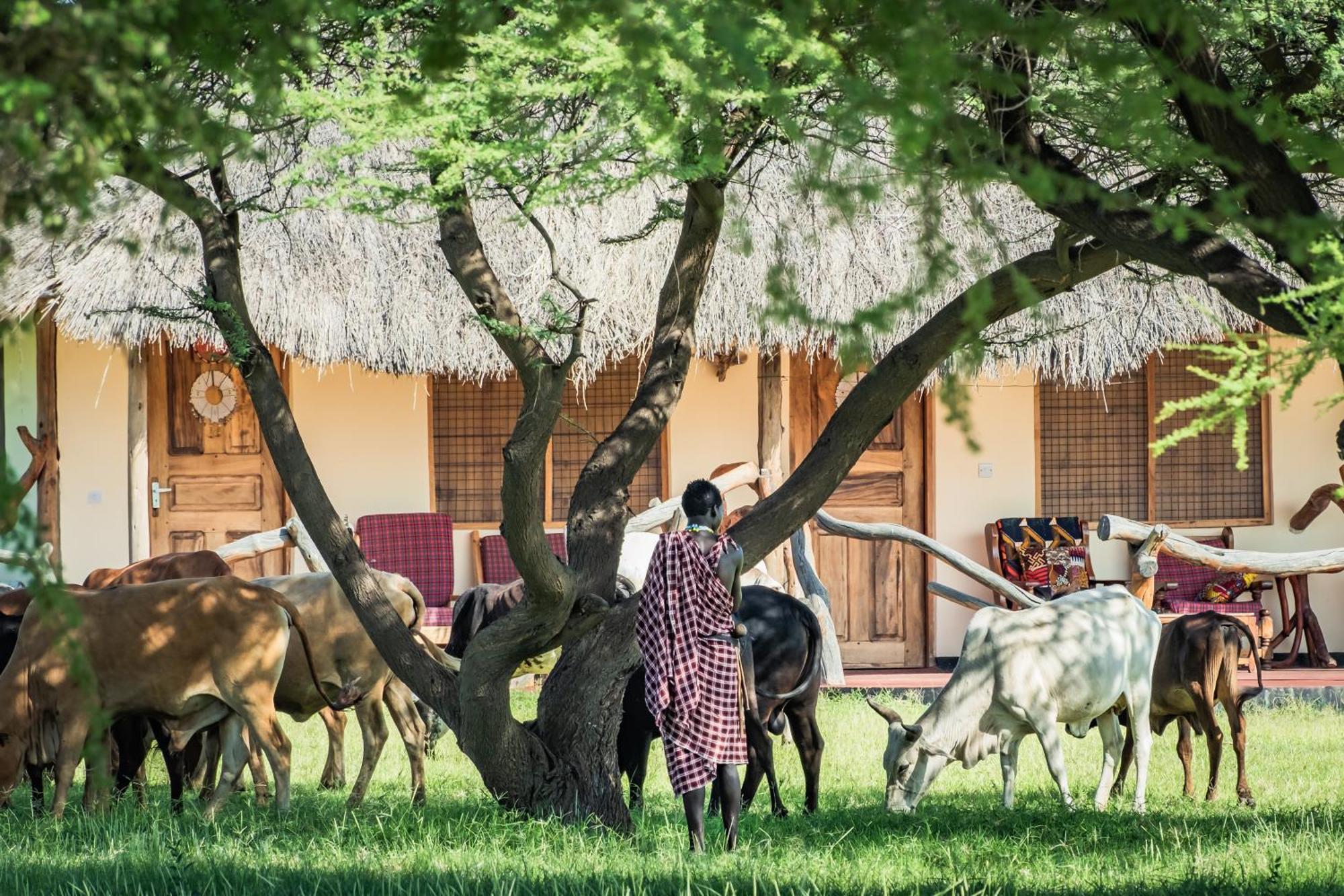 Lake Natron Maasai Giraffe Eco Lodge And Camping Mtowabaga Exterior photo